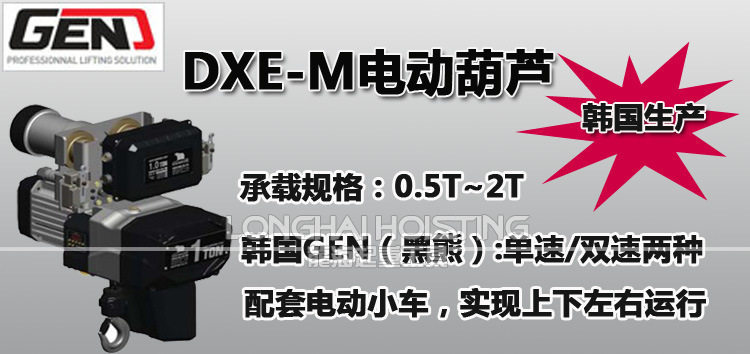 DXE-M进口电动葫芦