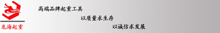 龙海起重