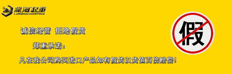 龙海起重